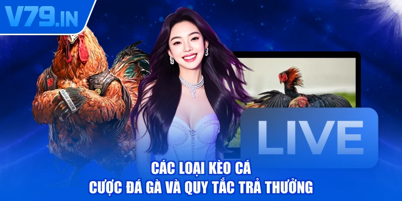 Các loại kèo cá cược đá gà và quy tắc trả thưởng