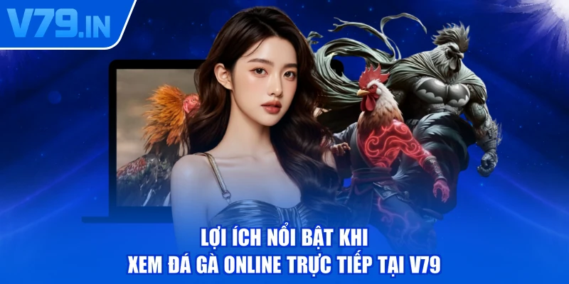 Lợi ích nổi bật khi xem đá gà online trực tiếp tại V79