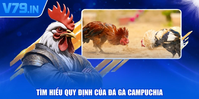 Tìm hiểu quy định của đá gà Campuchia