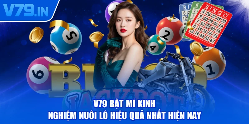 V79 bật mí kinh nghiệm nuôi lô hiệu quả nhất hiện nay